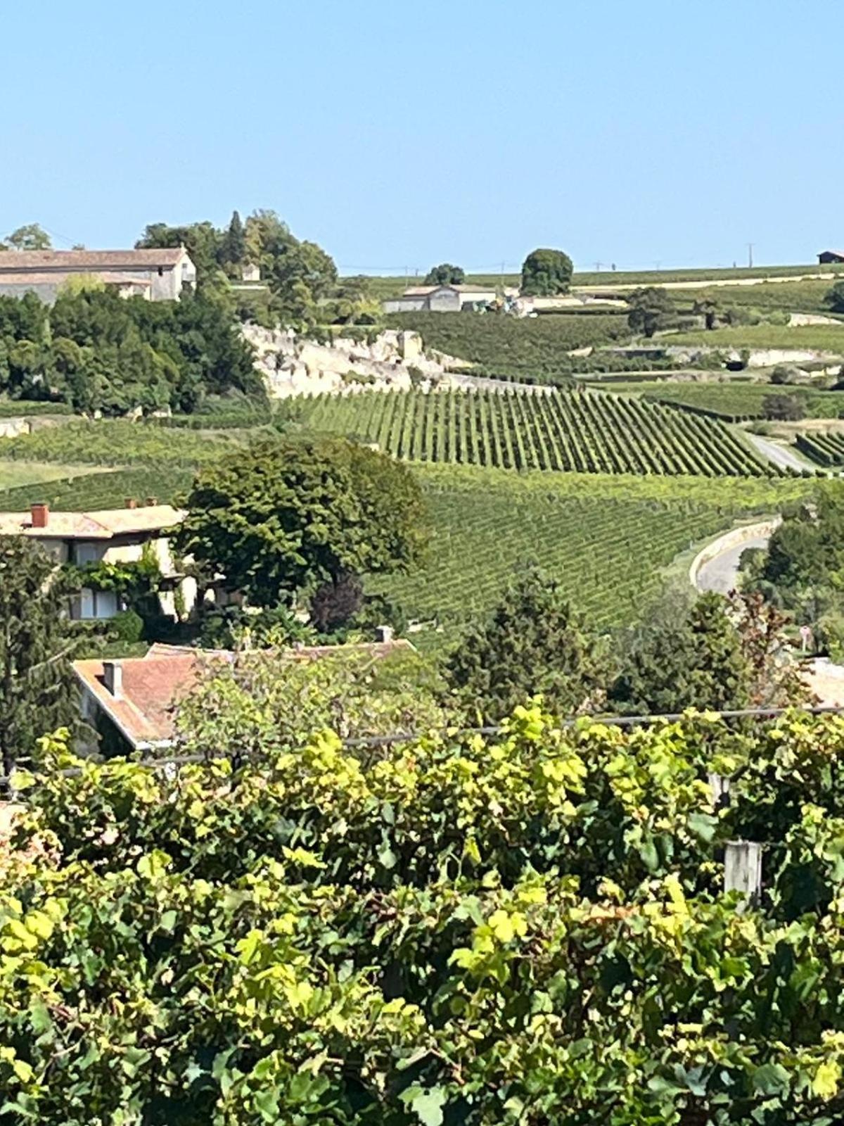 Les Logis Des Vignobles Saint Emilion En Duplex N 2 Avec Terrasse Lejlighed Eksteriør billede
